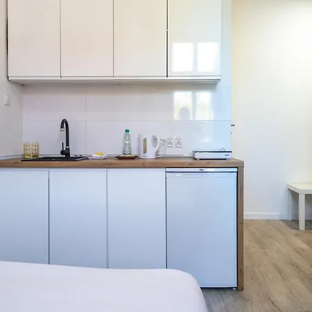 Apartament Silesian Charm Kozielska By Bookinghost