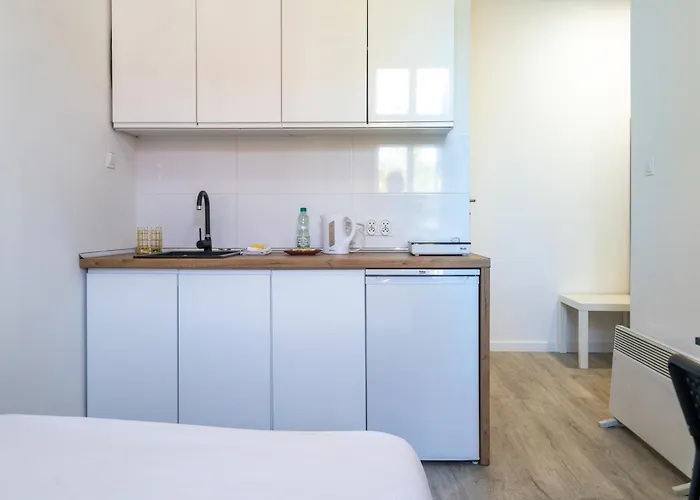 Apartment Silesian Charm Kozielska By Bookinghost